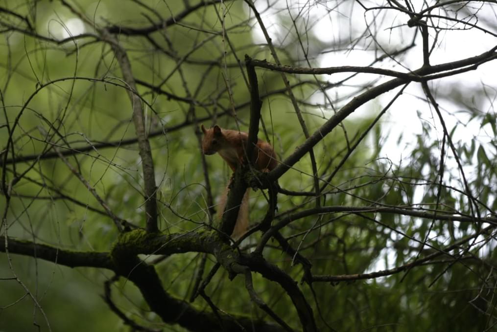 Кисловодск, экскурисия по городу