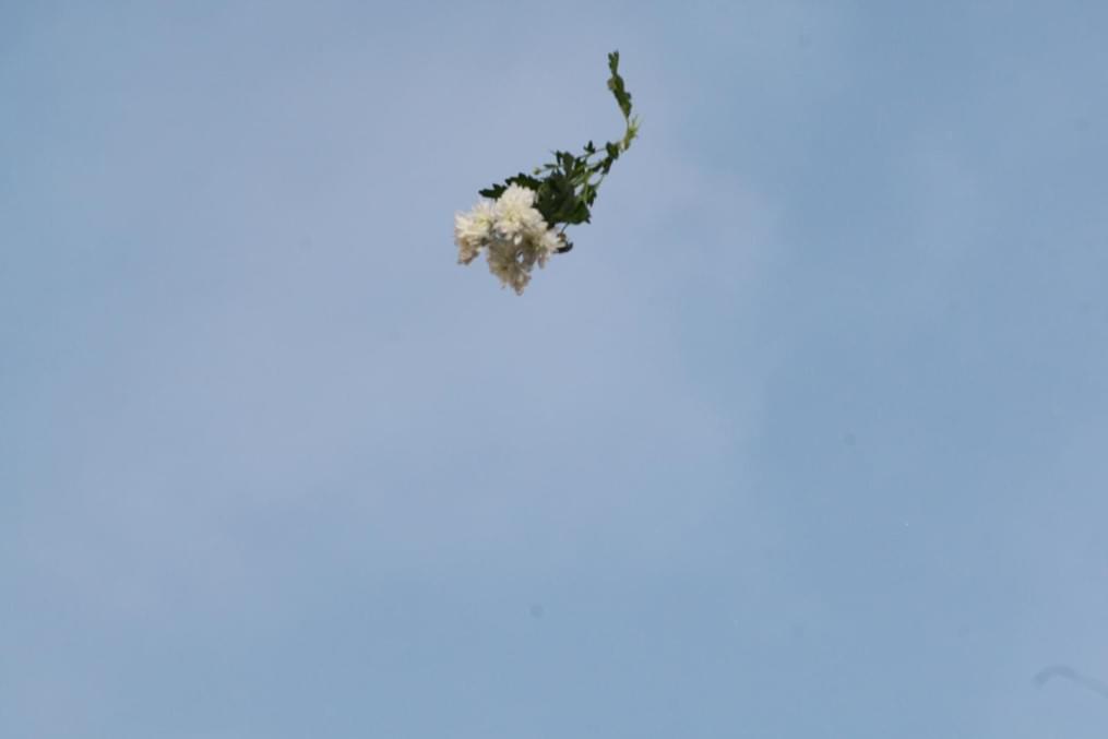 Чемпионат России 2010 года, 30 тур, Матч Зенит — Крылья Советов