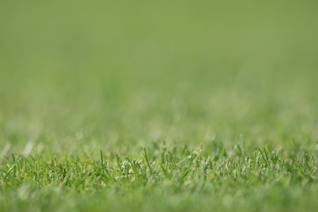 Прикладная съемка