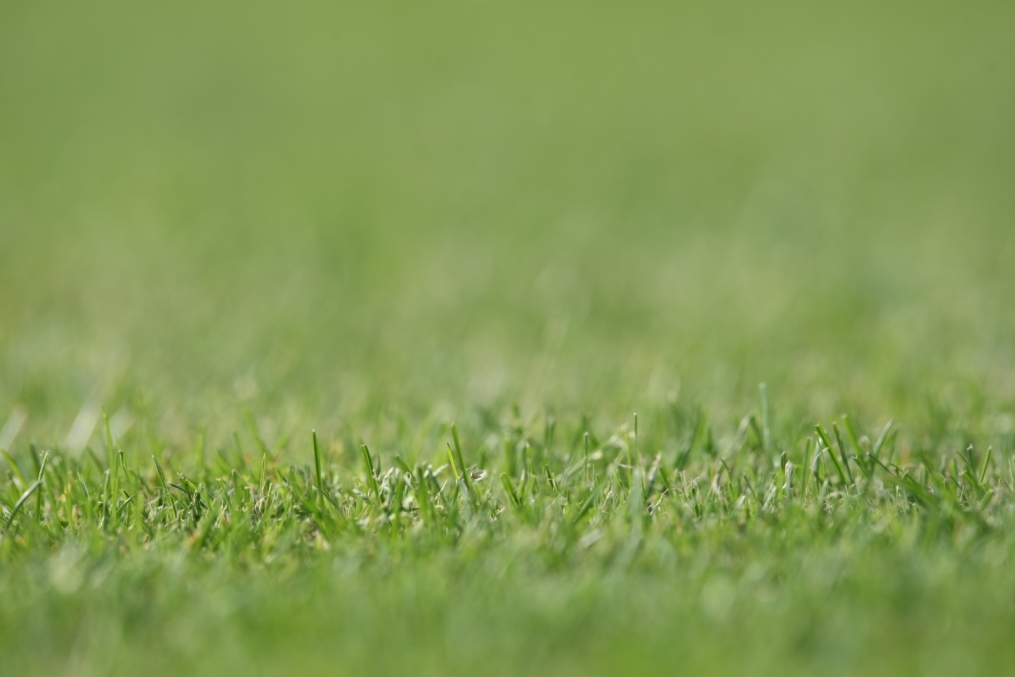 Прикладная съемка