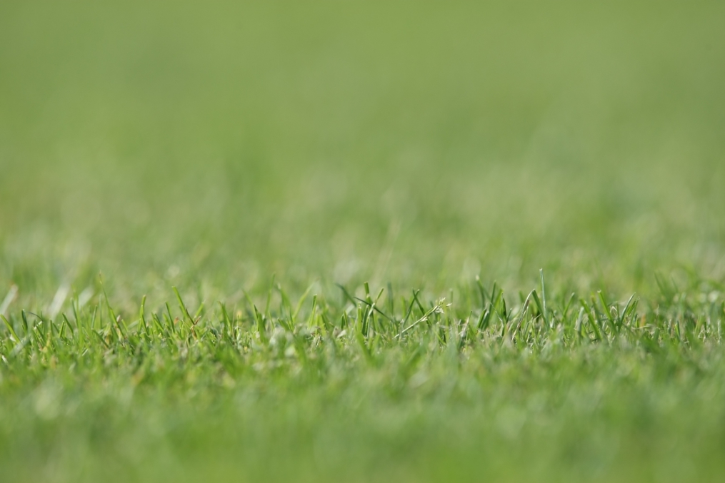 Прикладная съемка