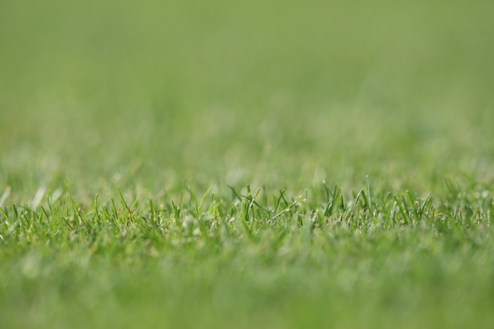 Прикладная съемка