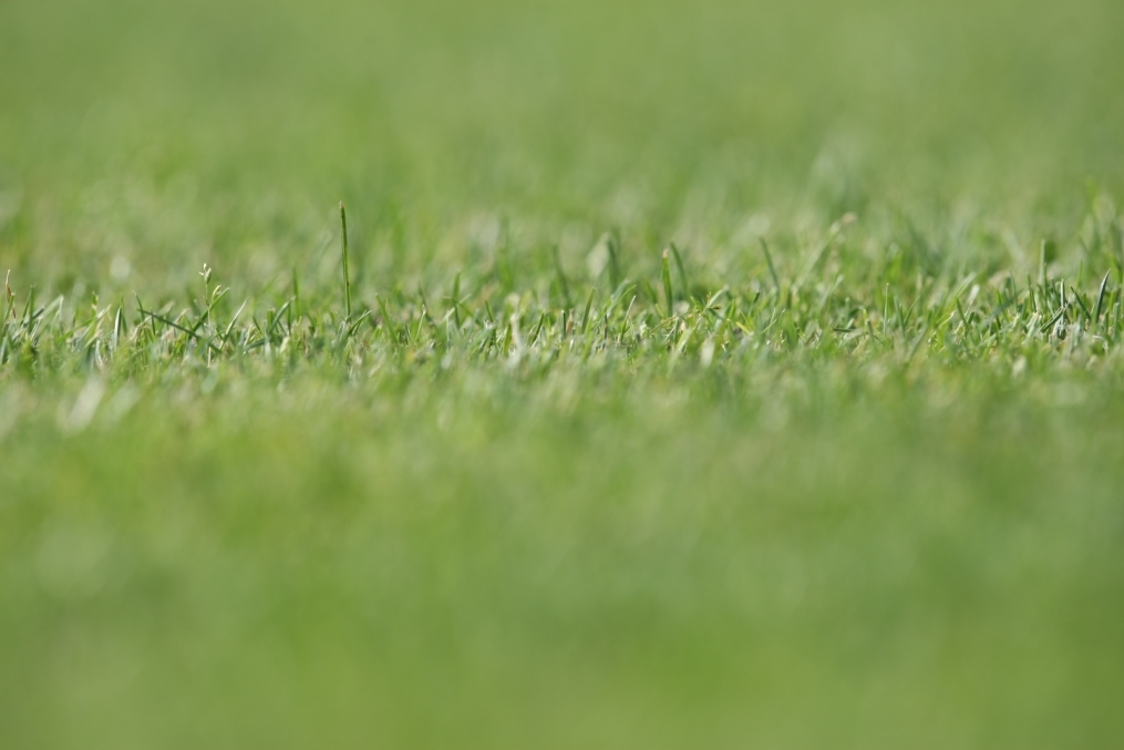 Прикладная съемка