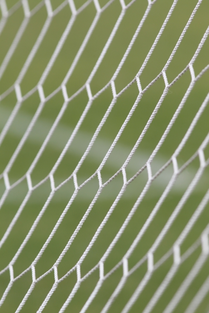 Открытая тренировка «Зенита» перед матчем Зенит—Крылья Советов