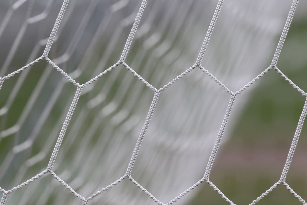 Открытая тренировка «Зенита» перед матчем Зенит—Крылья Советов