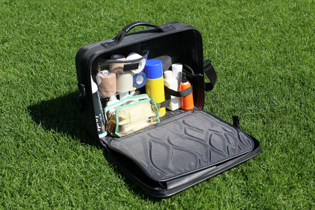 Чемоданчик доктора Гришина