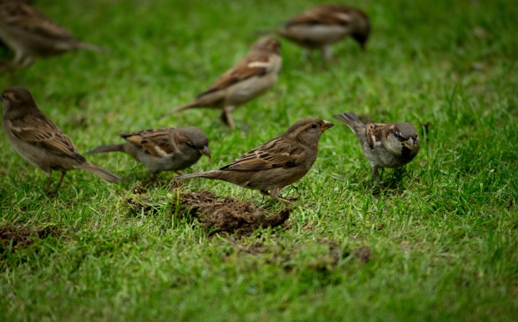 Чемпионат России 2013/2014, «Спартак» — «Зенит»