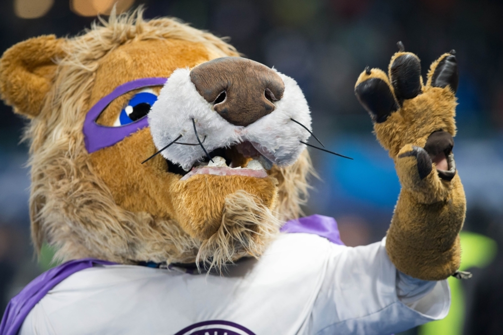 Лига Чемпионов УЕФА: матч «Аустрия» — «Зенит»