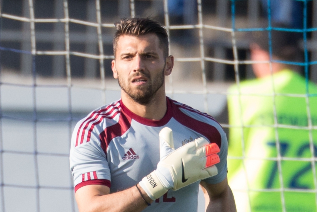 Товарищеский матч по футболу Россия — Словакия