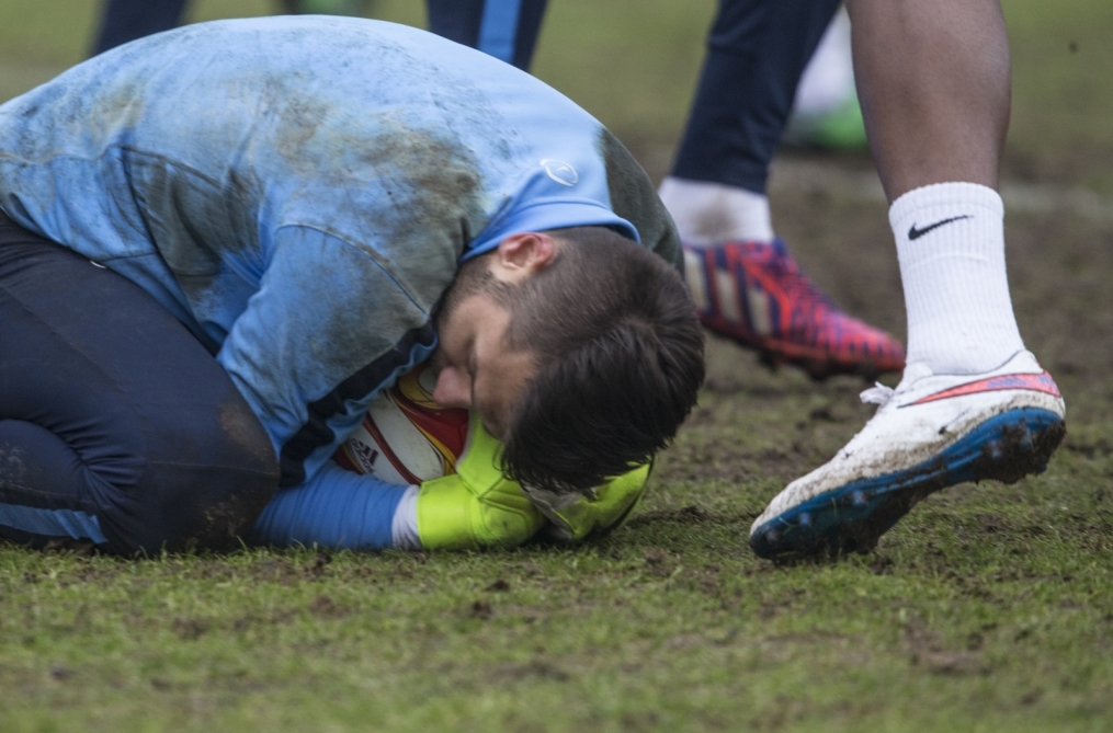 Открытая тренировка «Зенита» перед матчем Лиги Европы УЕФА, «Зенит» — ПСВ