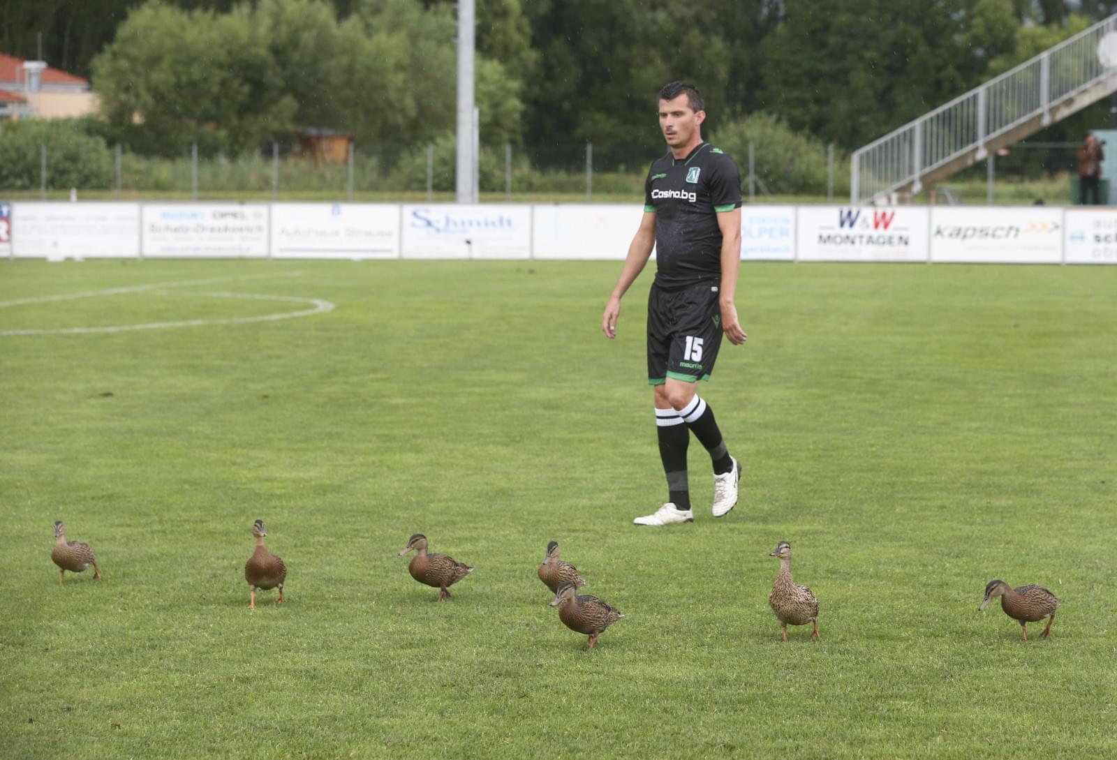 Товарищеский матч, «Зенит» — «Лудогорец»