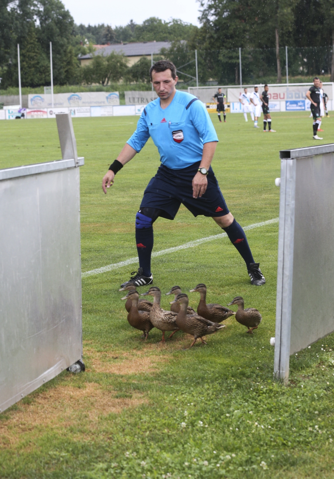 Товарищеский матч, «Зенит» — «Лудогорец»
