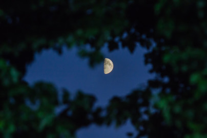 ФОНБЕТ-Первенство ФНЛ 2015/16,  «Зенит»-2 — «Енисей»