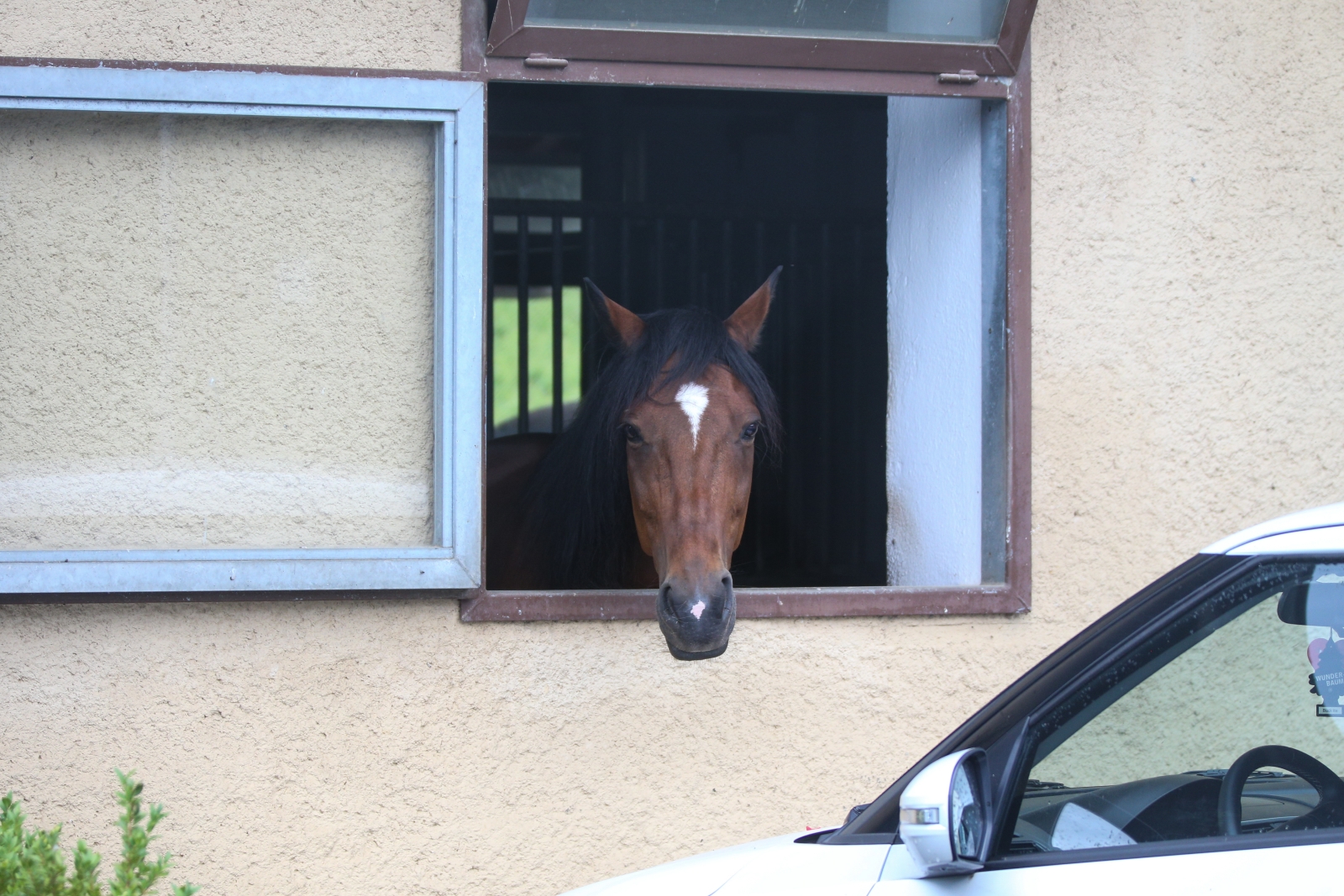 «Газпром»-тренировочные сборы в Швейцарии: вечерняя тренировка 12 июля