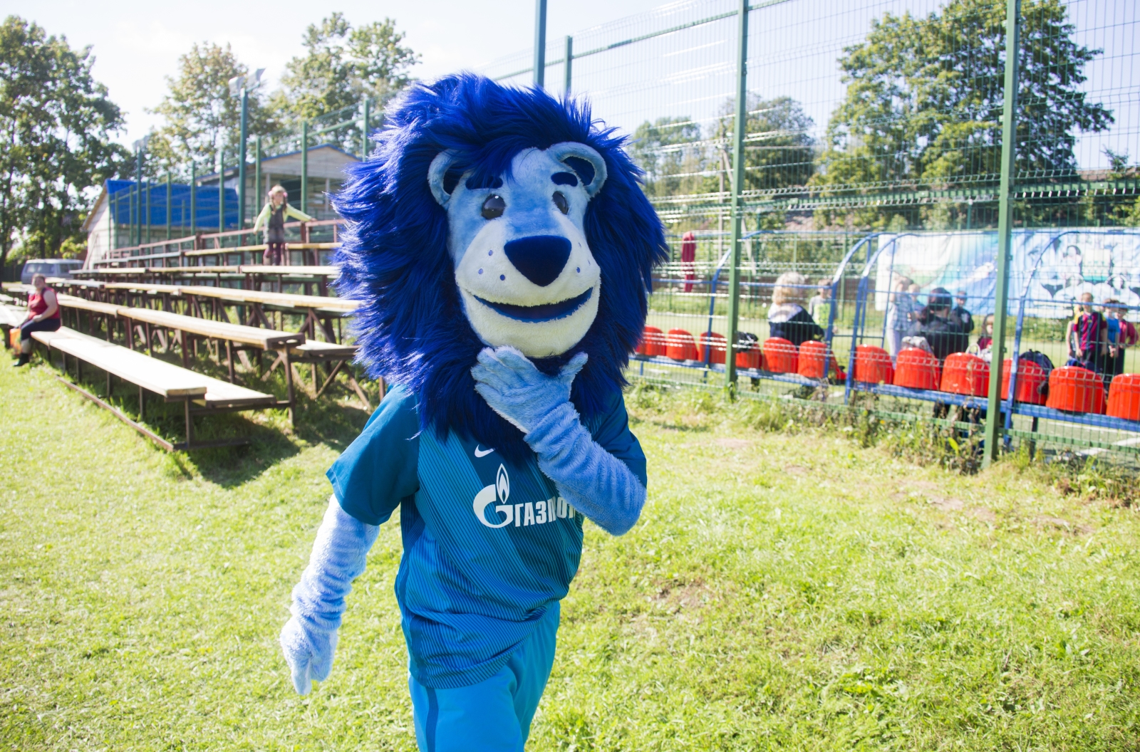 Синегривый Лев посетил Cоциально-реабилитационный центр в Гдове