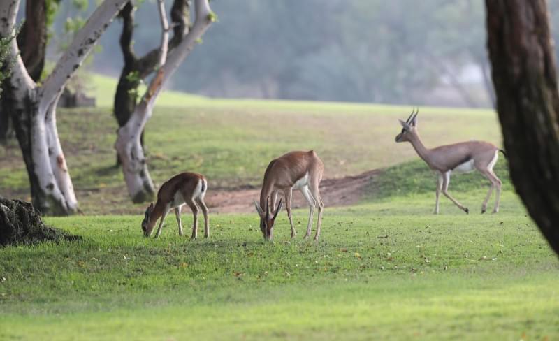 «Газпром»-тренировочные сборы в Дубае: 12 января, вечерняя тренировка