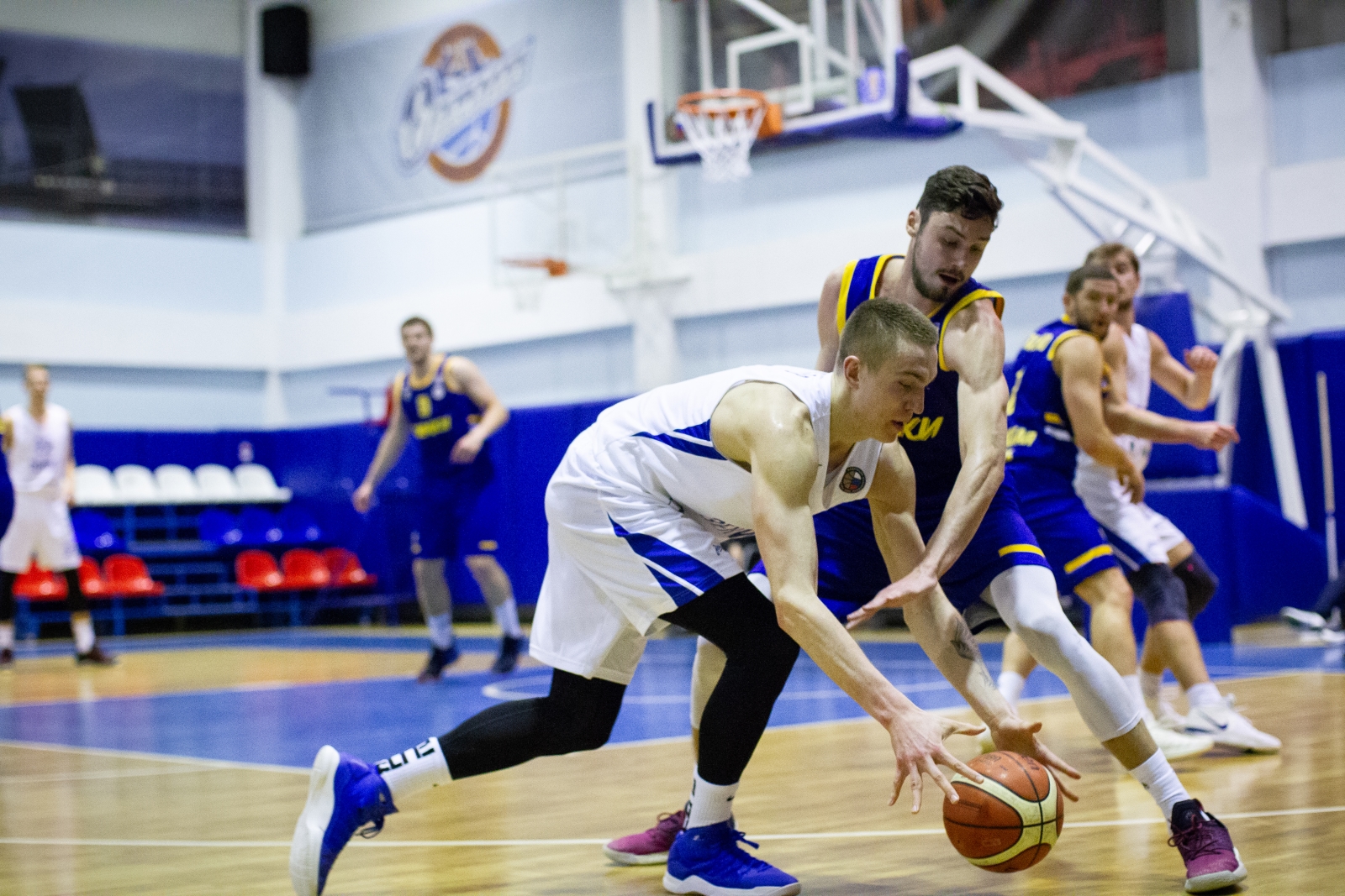 Чемпионат России по баскетболу 2018/2019. Суперлига 1. «Зенит-Фарм» — «Химки-Подмосковье»