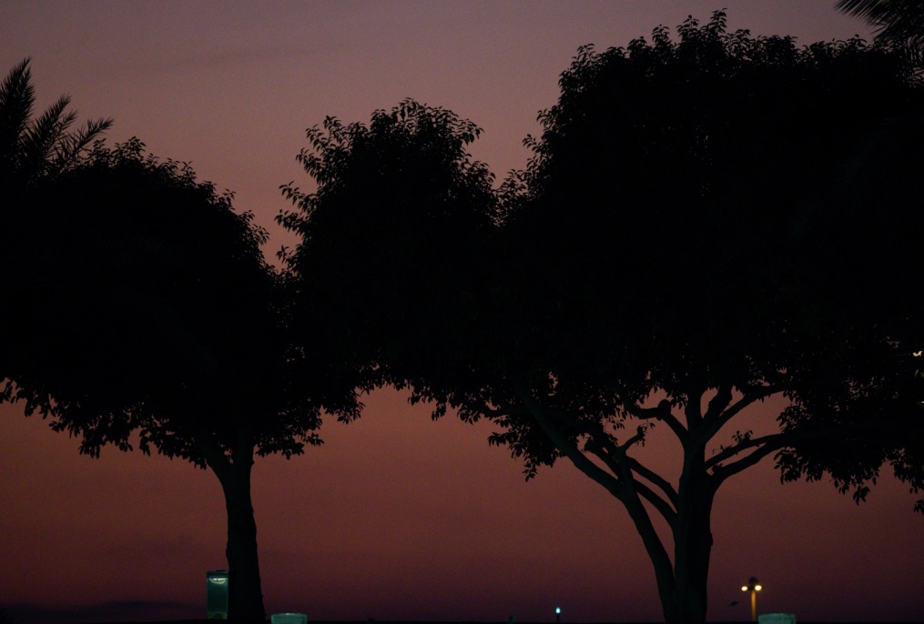 «Газпром»-тренировочные сборы в Катаре: 15 января, вечерняя тренировка