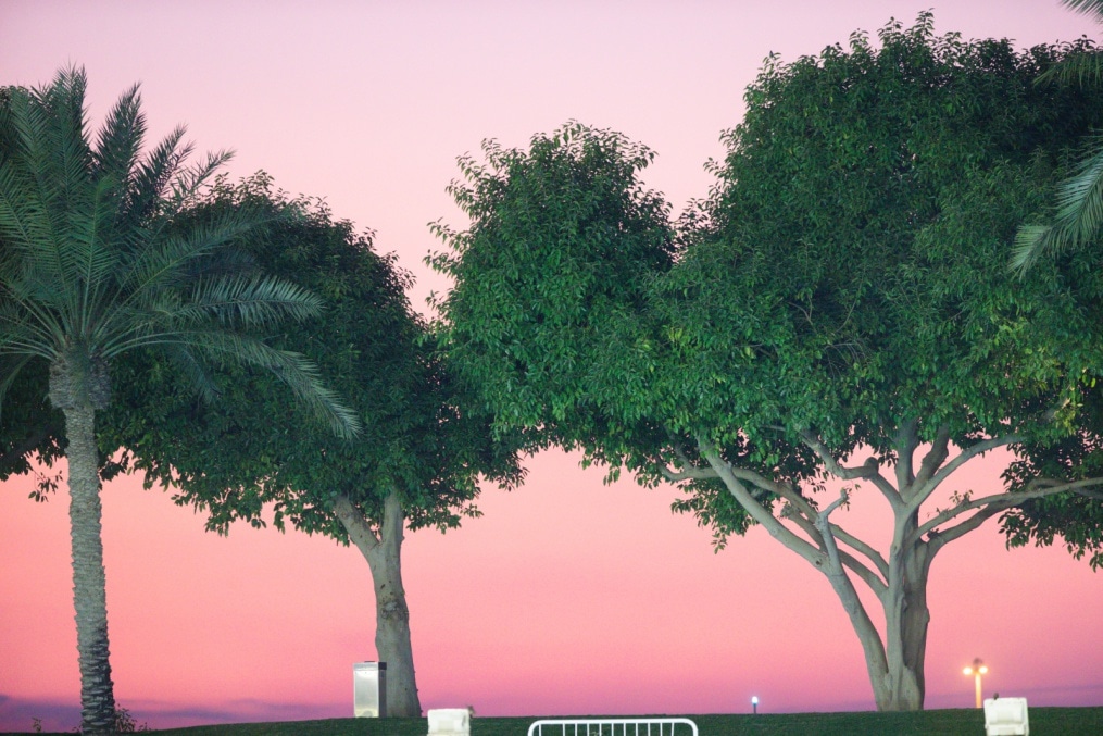 «Газпром»-тренировочные сборы в Катаре: 15 января, вечерняя тренировка