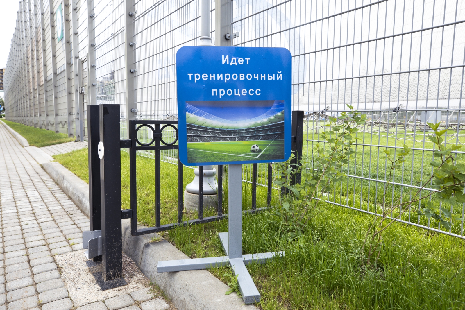 Тренировка основного состава «Зенита»: 11 июня