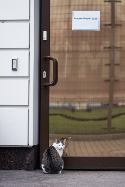 Тренировка «Зенита» перед матчем с «Ахматом»