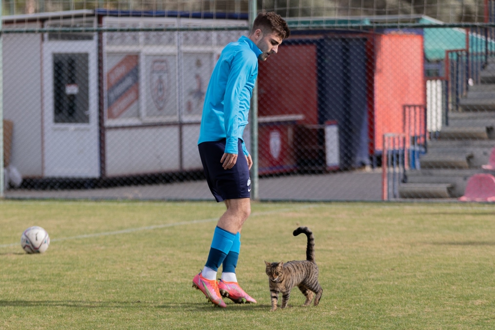 «Газпром» — тренировочные сборы «Зенита»-м в Турции: 21 ноября, утренняя тренировка
