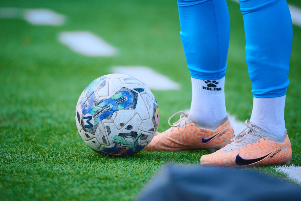 Тренировка перед матчем МФЛ 2024, «Зенит» — «Сочи»