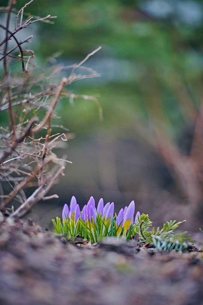Приезд игроков на тренировку перед матчем с «Рубином»