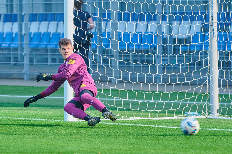 Товарищеский матч, «Зенит» — «Войводина»