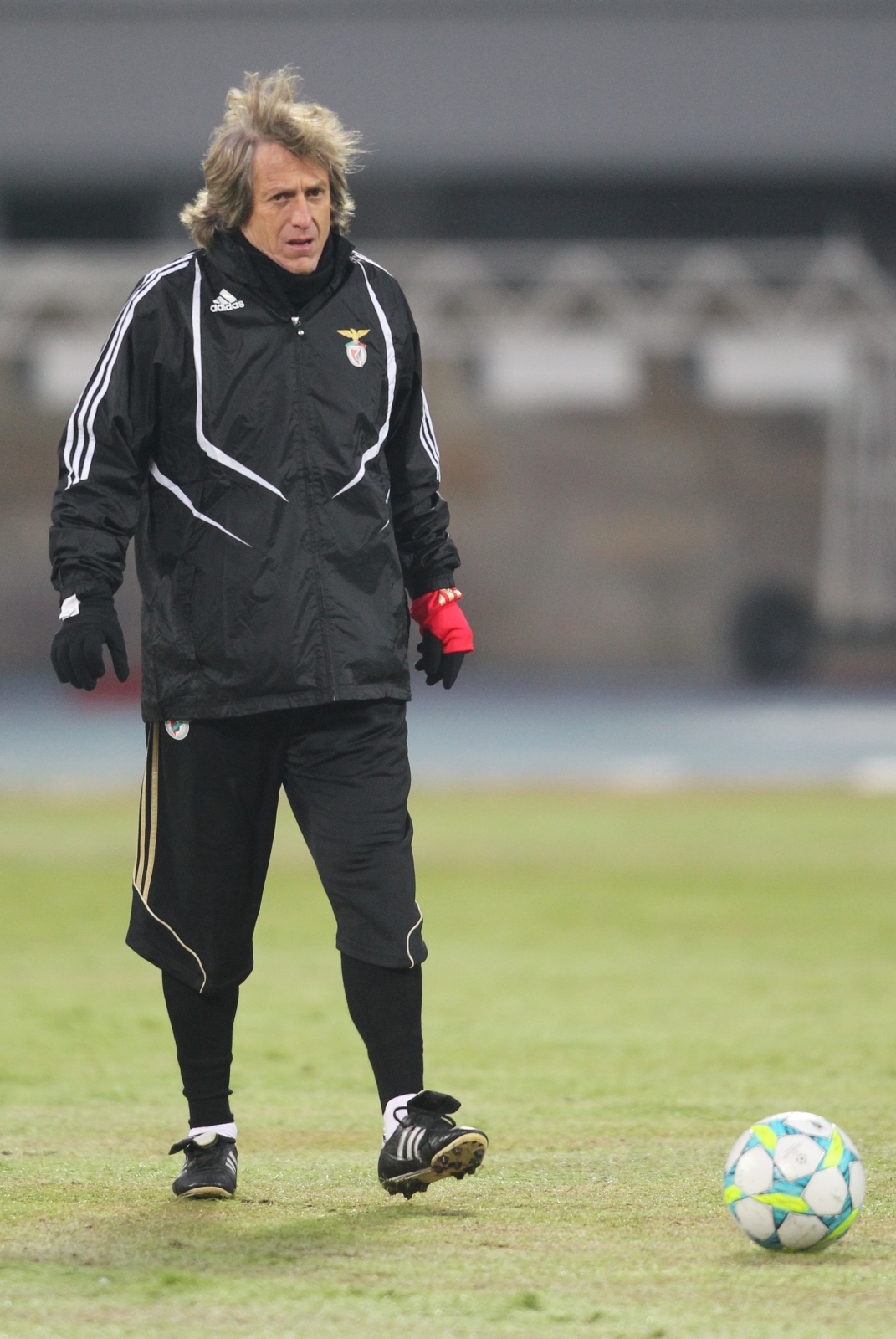 Открытая тренировка ФК Бенфика перед матчем 1/8 финала Лиги чемпионов УЕФА