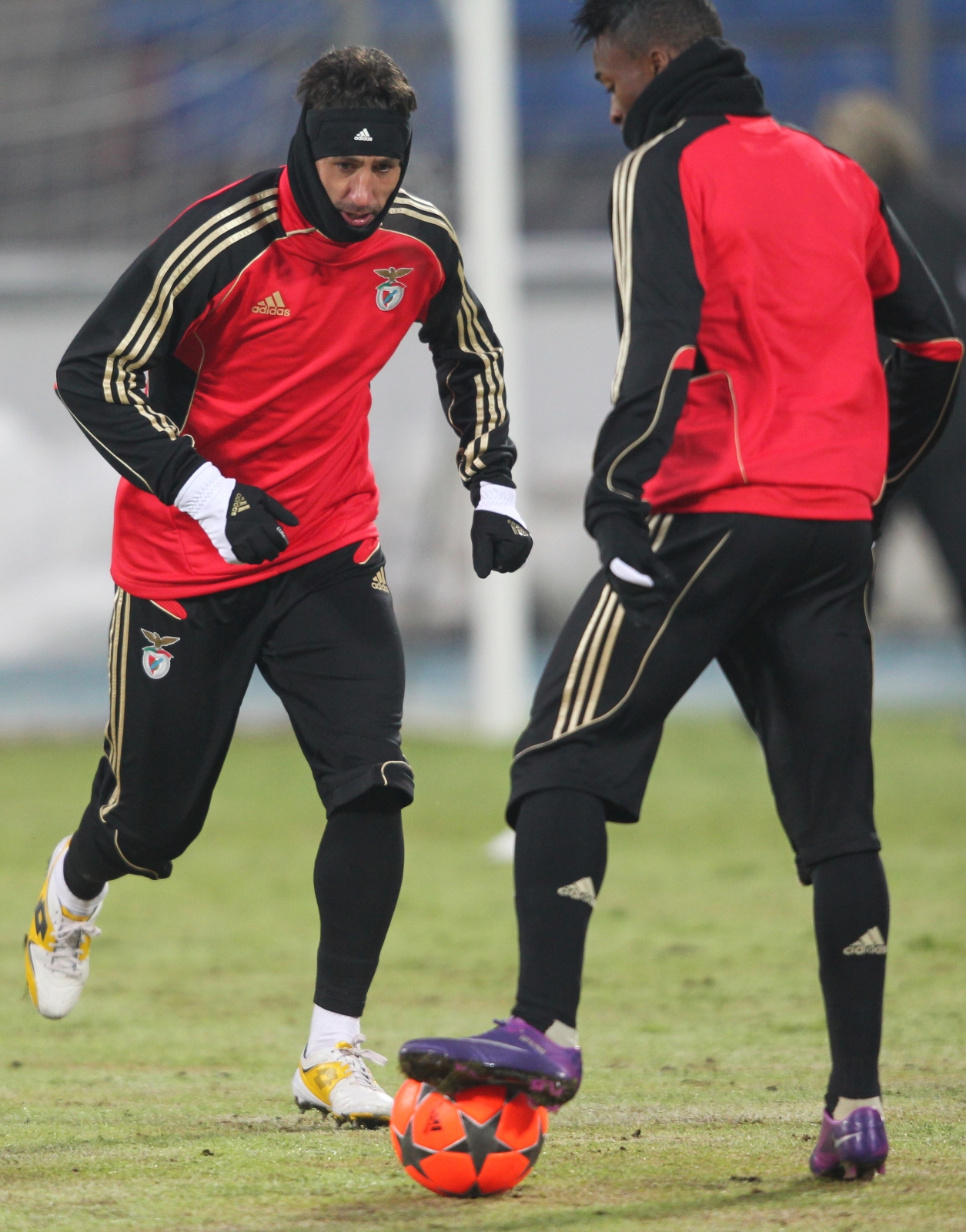 Открытая тренировка ФК Бенфика перед матчем 1/8 финала Лиги чемпионов УЕФА