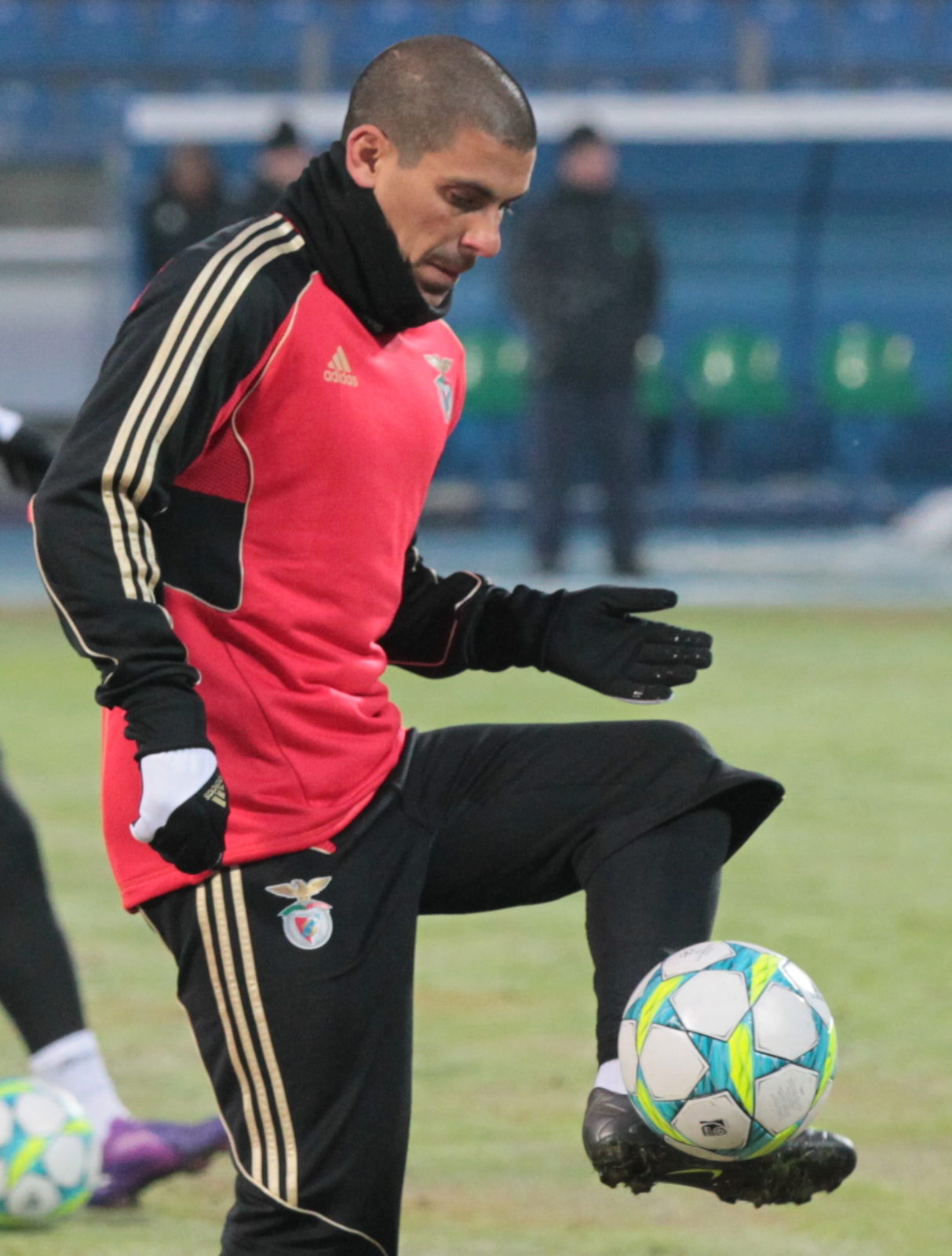 Открытая тренировка ФК Бенфика перед матчем 1/8 финала Лиги чемпионов УЕФА