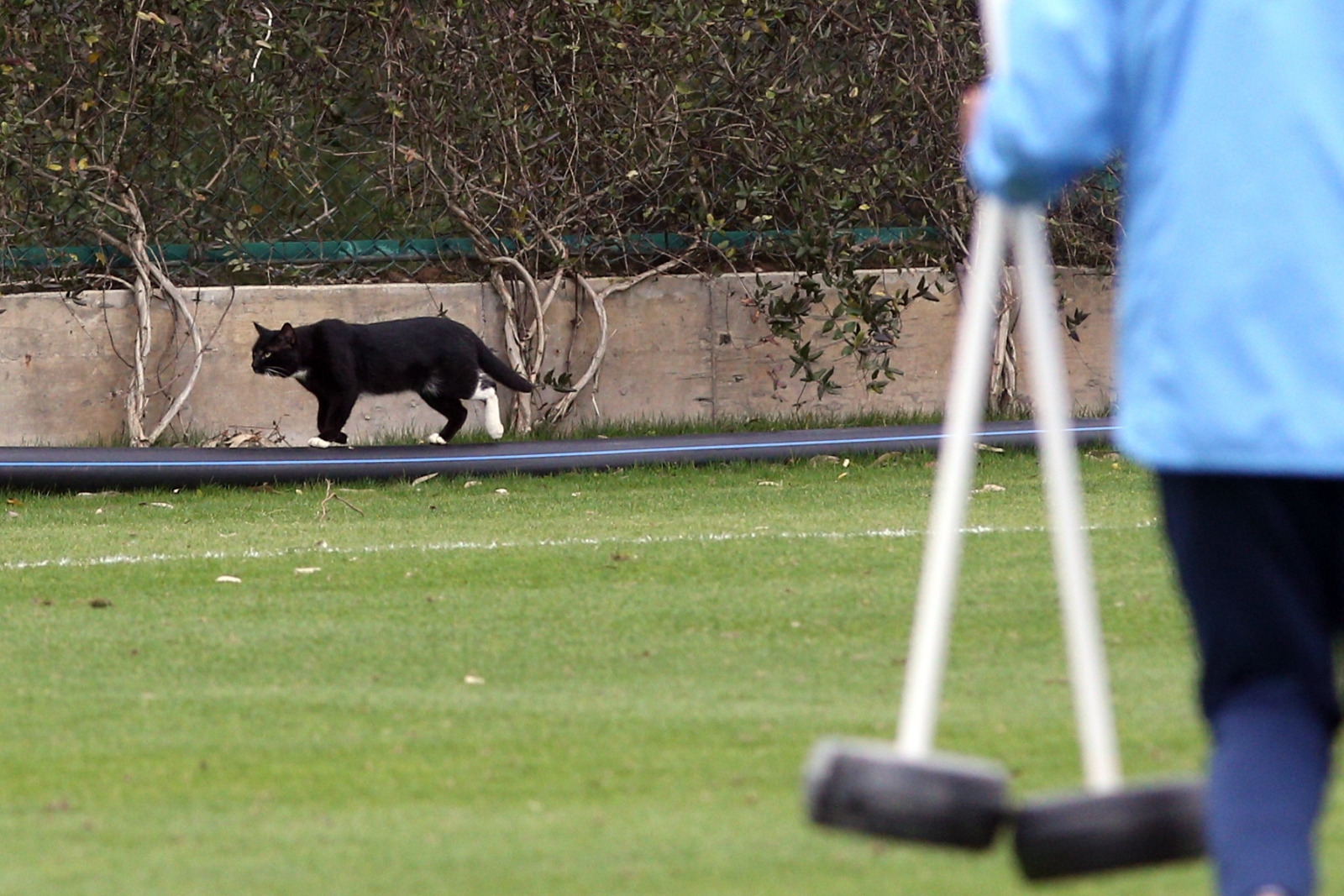 Сборы в Турции: 30 января, утренняя  тренировка