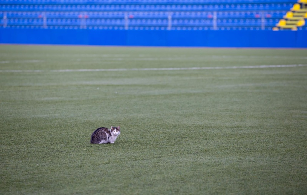 Как «Зенит-Фаны» провели март и апрель: фоторепортаж