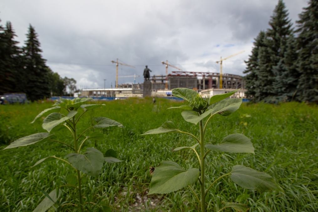 Строительство стадиона на Крестовском острове