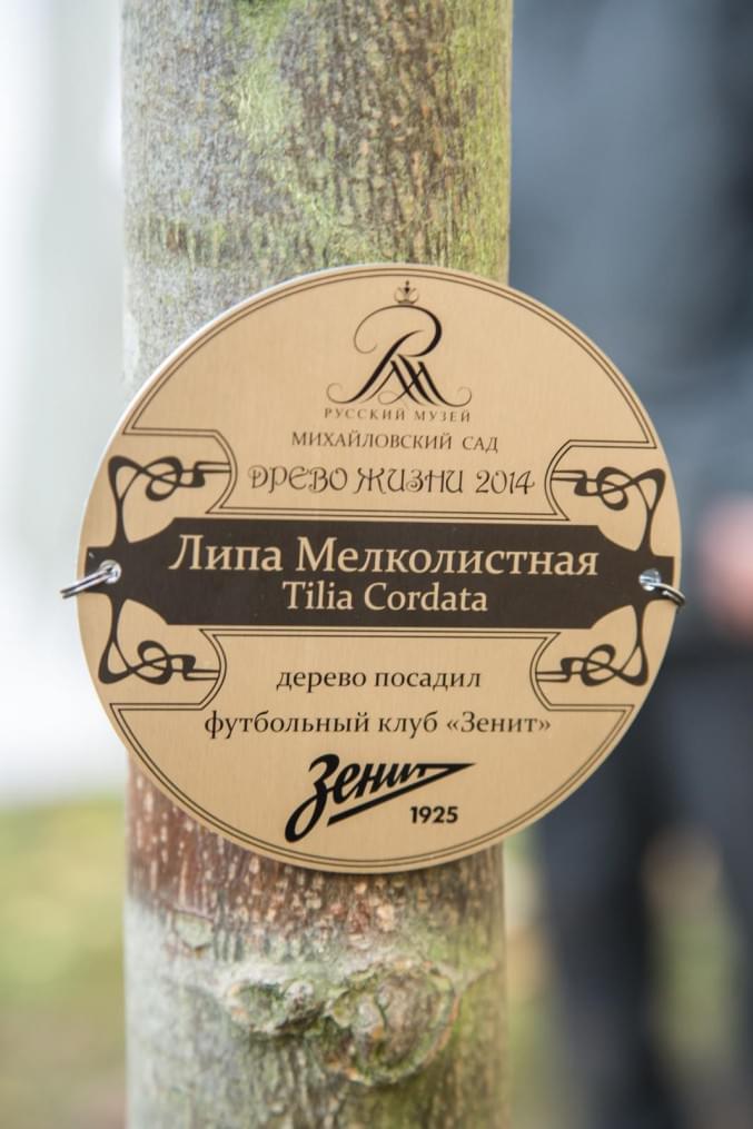 «Зенит» — участник благотворительной акции «Древо жизни»