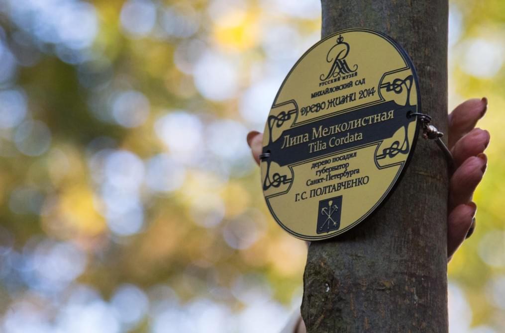 «Зенит» — участник благотворительной акции «Древо жизни»