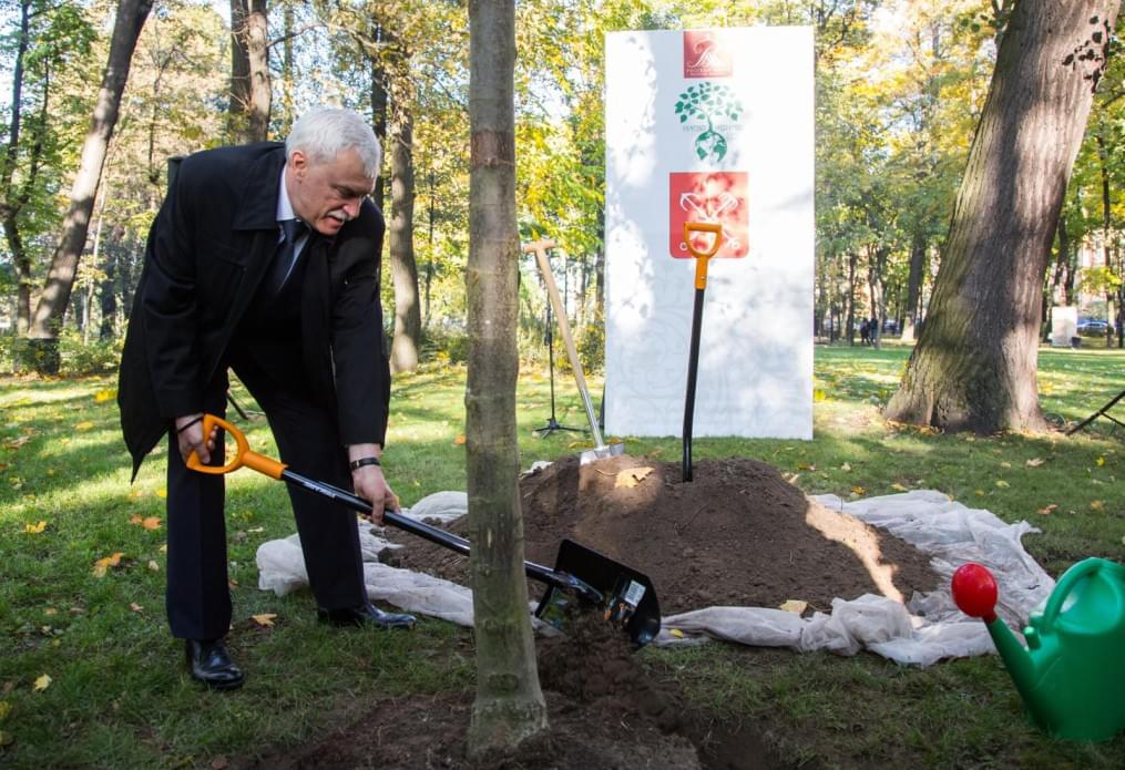 «Зенит» — участник благотворительной акции «Древо жизни»