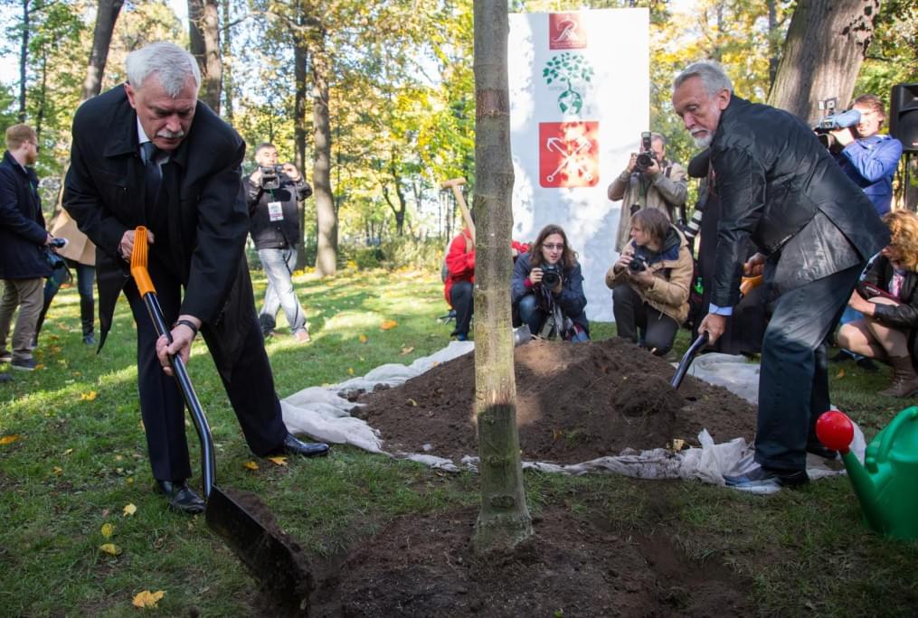 «Зенит» — участник благотворительной акции «Древо жизни»