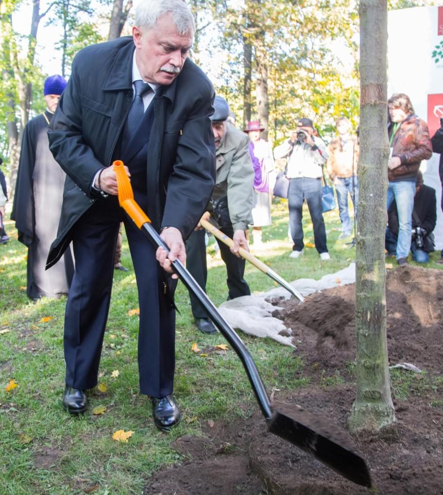 «Зенит» — участник благотворительной акции «Древо жизни»