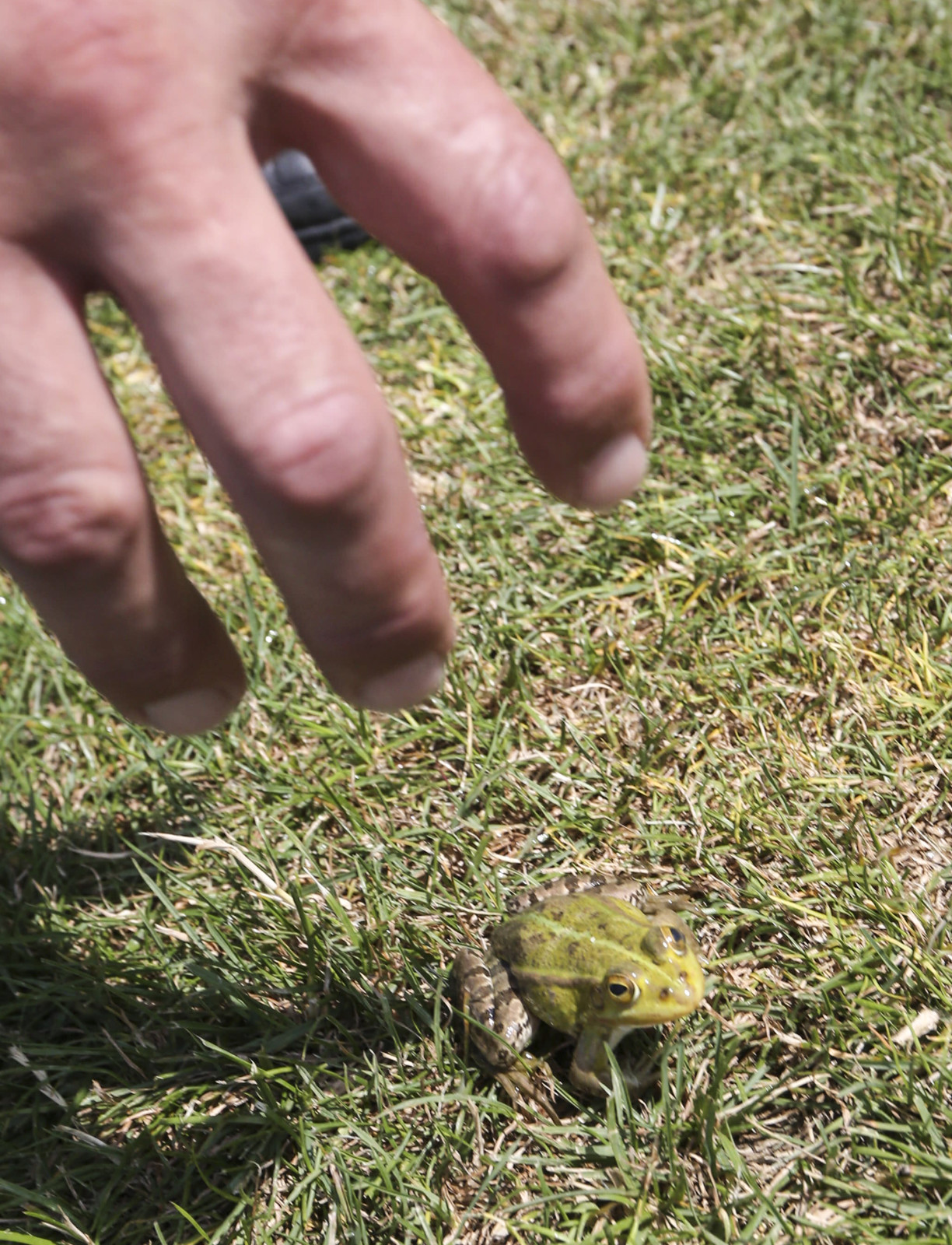 Сборы в Австрии: 4 июля, утренняя тренировка