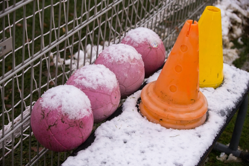 Открытая тренировка «Зенита» перед матчем с «Крыльями Советов»