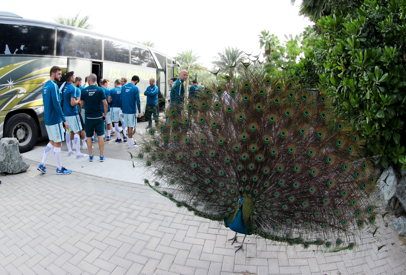 Товарищеский матч «Зенит» — «Чанчунь Ятай»