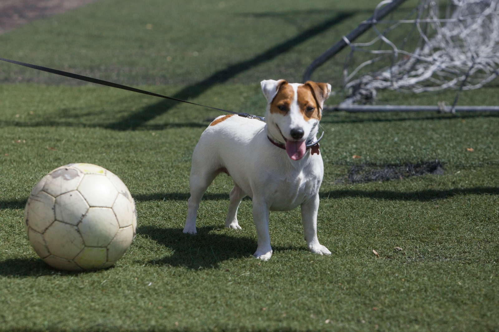 14-й тур первенства Санкт-Петербурга среди детско-юношеских команд, «Локомотив» — «Зенит»