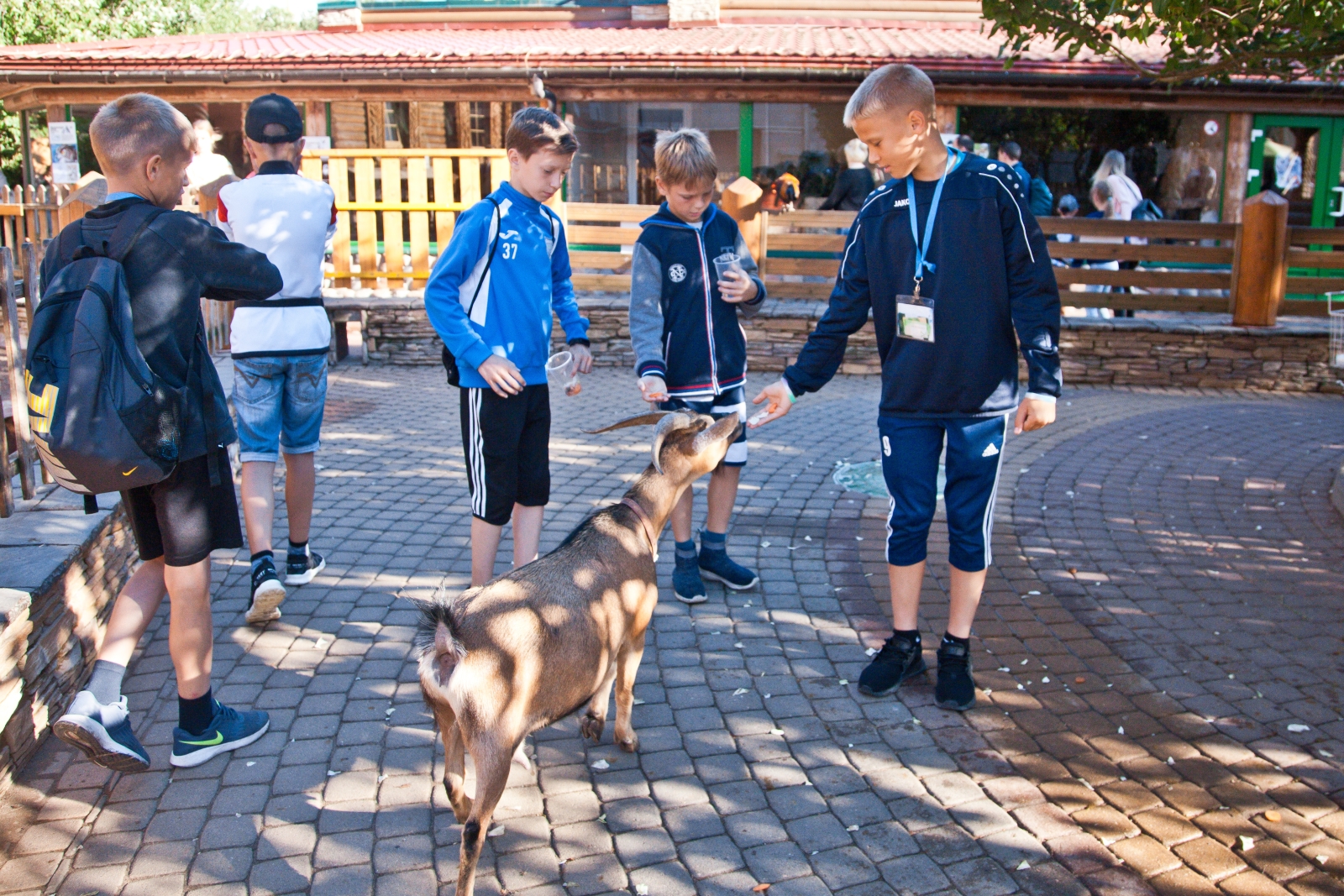 «Большой фестиваль футбола»: экскурсия для детей из тренировочного лагеря Академии в Ленинградский Зоопарк