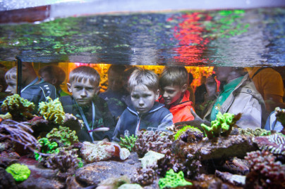 «Большой фестиваль футбола»: экскурсия для детей из тренировочного лагеря Академии в Ленинградский Зоопарк