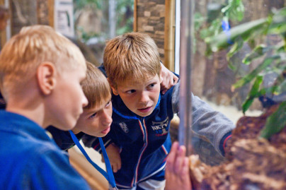 «Большой фестиваль футбола»: экскурсия для детей из тренировочного лагеря Академии в Ленинградский Зоопарк