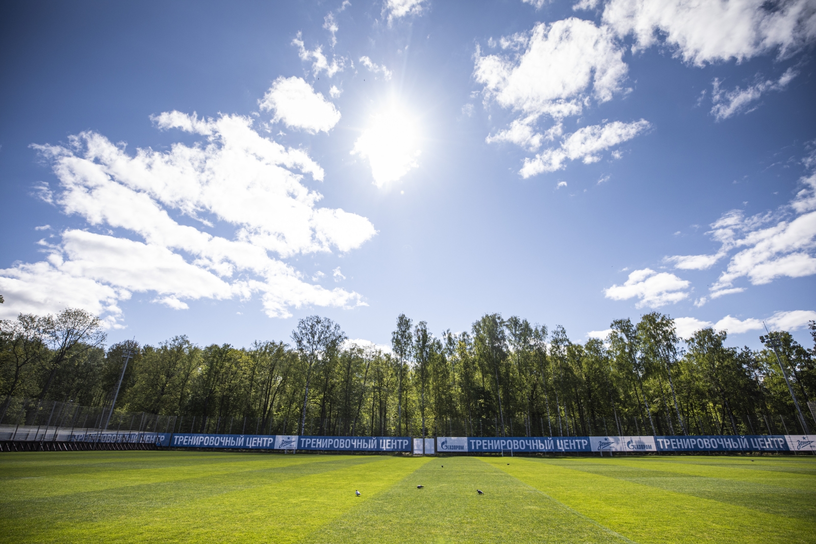 Первая летняя тренировка «Зенита» в Удельном парке