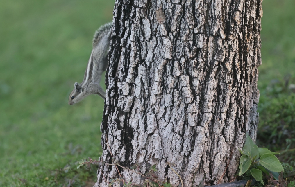 «Газпром»-тренировочные сборы в Дубае: 17 января, вечерняя тренировка