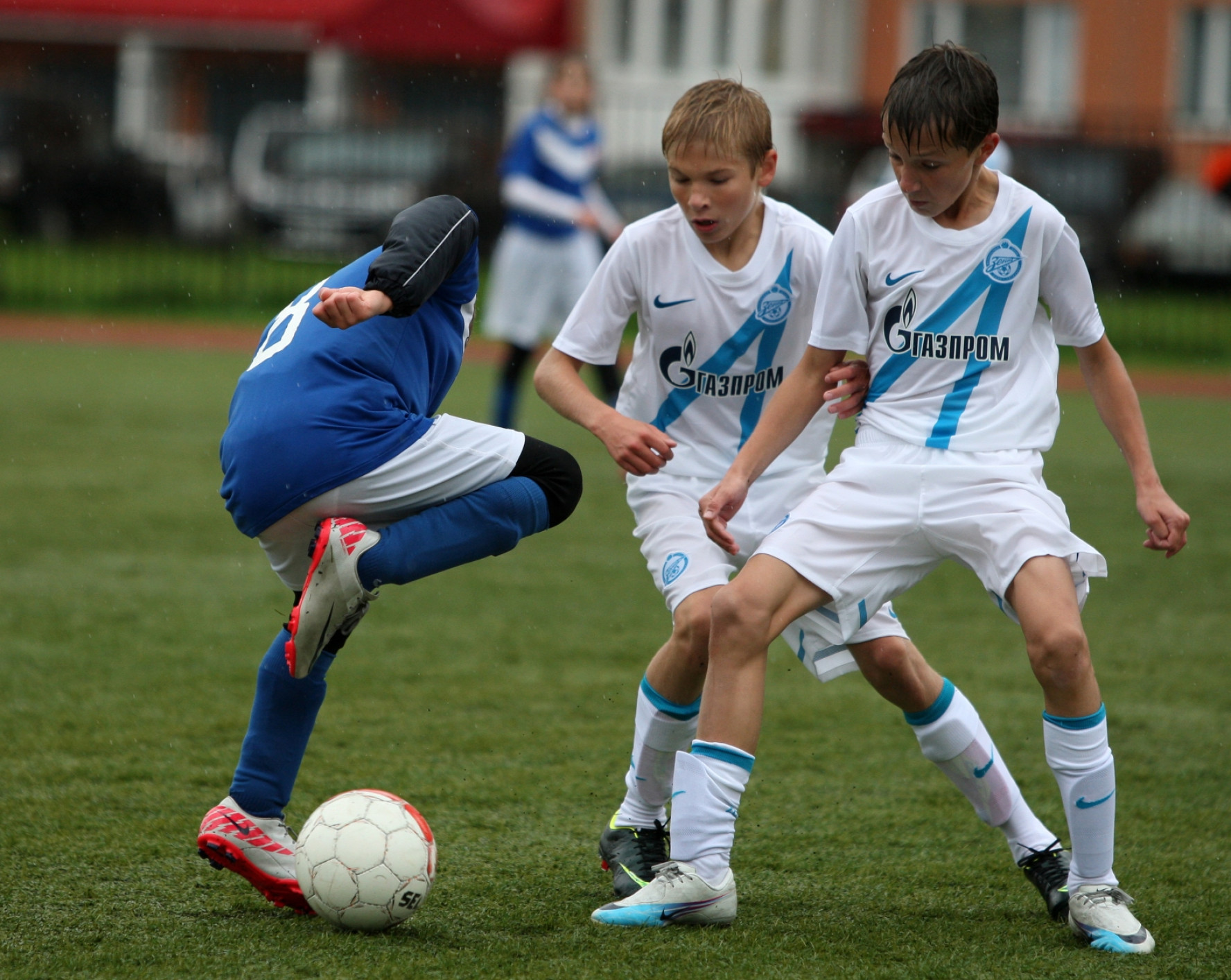 Спортивные школы спб